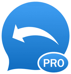 Call Sms Auto Reply App - Language Png