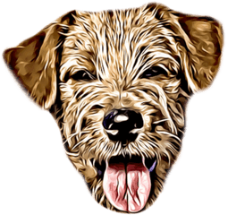 Wuuf - Norfolk Terrier Png