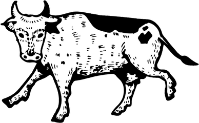 Flying Cow Tallow Midland Tx Home - Cartoon Png