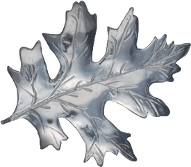 Scarlet Oak Leaf Png