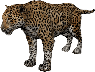 Jaguar - Green Hell Png