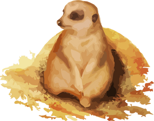 Groundhog Png Transparent Background - Groundhog Day