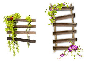 Flower Garden Hour Spooky Frame Bench Ladder - Free PNG