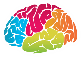 Brain Picture - Free PNG