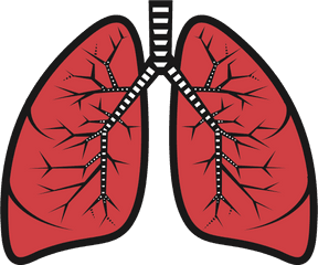 Sad Clipart Lung Picture - Lungs Clipart Png