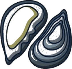 Zebra - Mussel Clipart Png