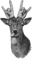 Party Animal Png Deer Icon Tumblr