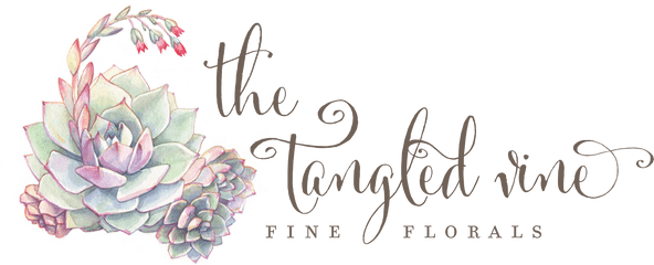 The Tangled Vine Designs Png Sun