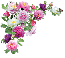 Flowers Transparent - Free PNG