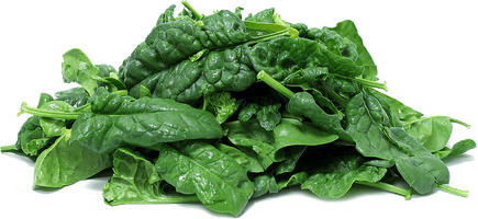 Fresh Green Spinach PNG Free Photo