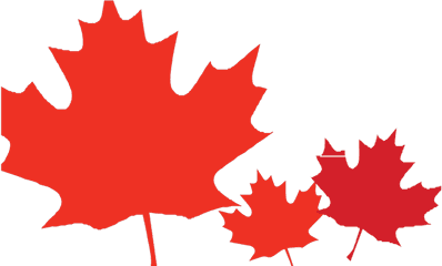 Canadian Leaf Png - Maple Leaf Maple Leaf Clipart Png