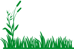 Vector Grass Natural PNG File HD