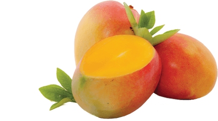 Mango Fruit Png Clipart Free Download - Free Cut Mango Png