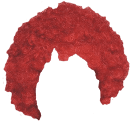 Clown Hair Png 5 Image - Clown Hair Png