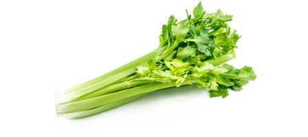 Celery Green Organic Free Download Image - Free PNG