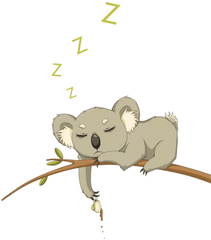 Download Hd Drawn Koala Transparent - Cute Koala Kawaii Koala Png