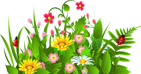 Flower Clipart Transparent Background - Clipart Of Spring Flowers Png