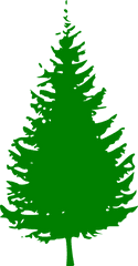 Pine Tree Clipart Png Panda - Free Clipart Images Pine Tree Vector Png