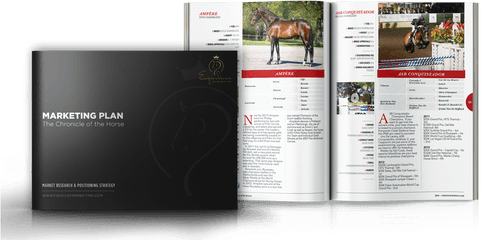 Equiluxe Marketing Equine Website Design And - Stallion Png