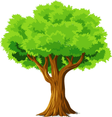 Colorful Natural Tree Vector Clipart - Tree Clipart Full Tree Clipart Png