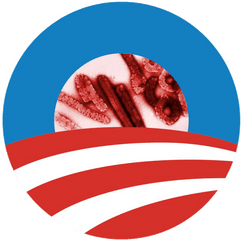 Pin - Obama Logo Png