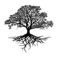 Oak Silhouette Tree Drawing Trees PNG Download Free