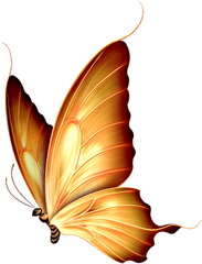 Download Autumn Gold - Beautiful Yellow Butterfly Png Transparent Background Gold Butterfly