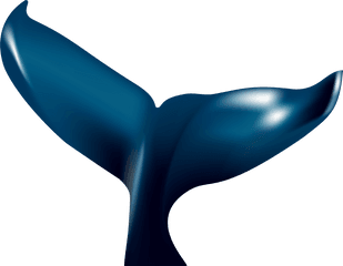 Clipart Whale Tail Png Mermaid