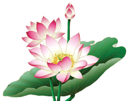 Lotus Flower Free HD Image - Free PNG