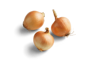 Brown Onion Download HD - Free PNG