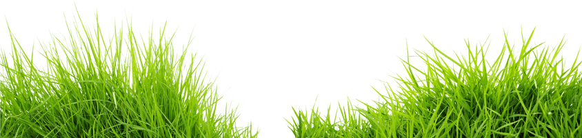 Field Meadow Free HQ Image - Free PNG