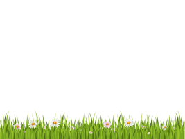 Grass Png File