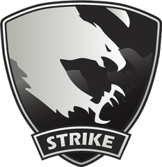 Co - Op Strike Counterstrike Wiki Fandom Huy HiudoÃ n Thiu NiÃªn Tin Phong Png