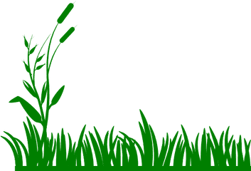 Grass Cartoon Transparent Png Image - Grass Png Black And White