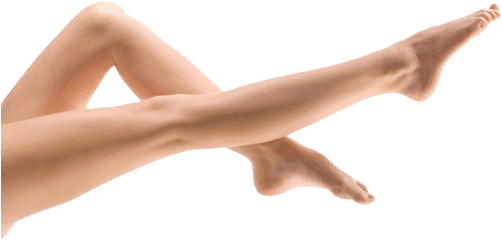 Legs Png Transparent Images - Leg Png