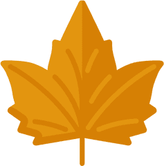 Maple Leaf - Sugar Maple Png