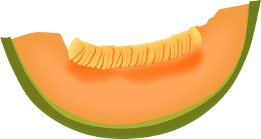 Cantaloupe Slice Free Clipart HD - Free PNG