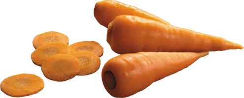 Carrot Png Image