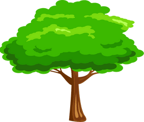 Green Tree - Transparent Tree Png Cartoon