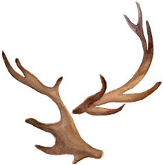 Png Free Fawn Antlers - Watercolor Deer Antlers Png