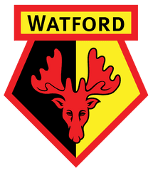 Chelsea Fc V Watford - Team News Tactics Lineups And Watford Fc Logo Png