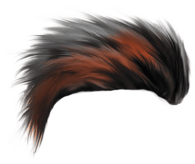 Top 20 Cb Hair Png Zip File Download