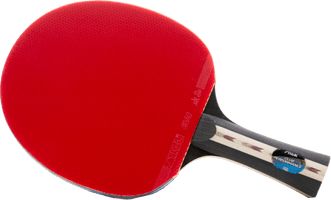 Ping Pong Png Picture