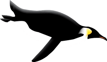 Penguin Png Image