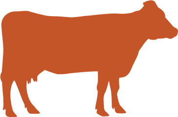 Cow Comfort Alltech - Animal Figure Png