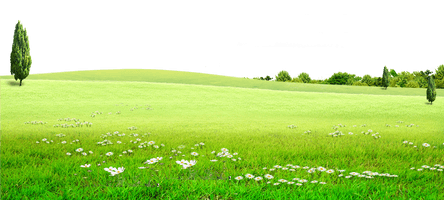 Field Green Landscape HQ Image Free - Free PNG