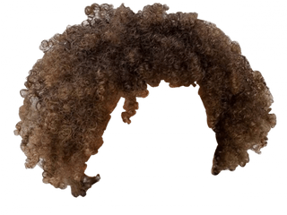 Afro Hair Png Transparent Images 19 - 1024 X 1280 Afro Hair Png