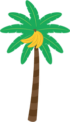 Free Palm Tree Png With Transparent Background