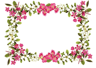 Floral Frame Image - Free PNG