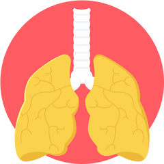 Lungs Lung Png Icon - Lung Png